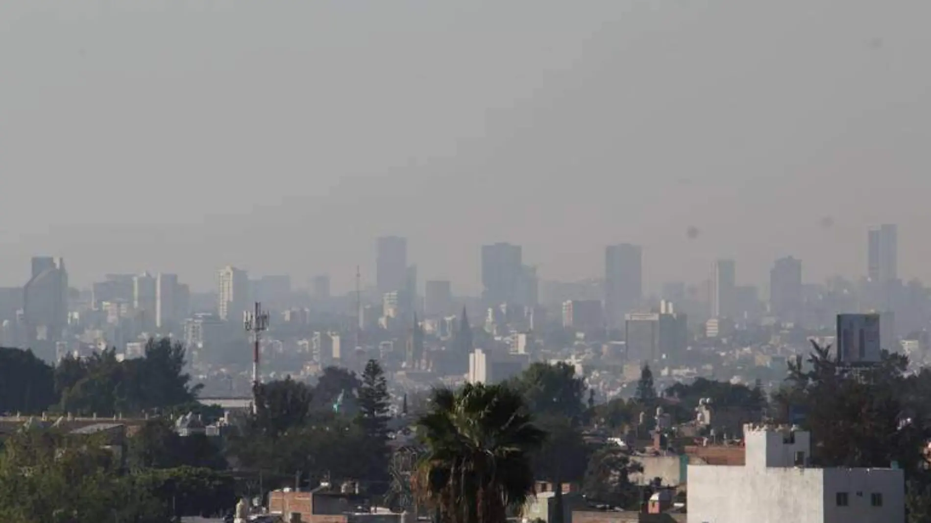 Contaminación Foto. Franscisco Rodríguez